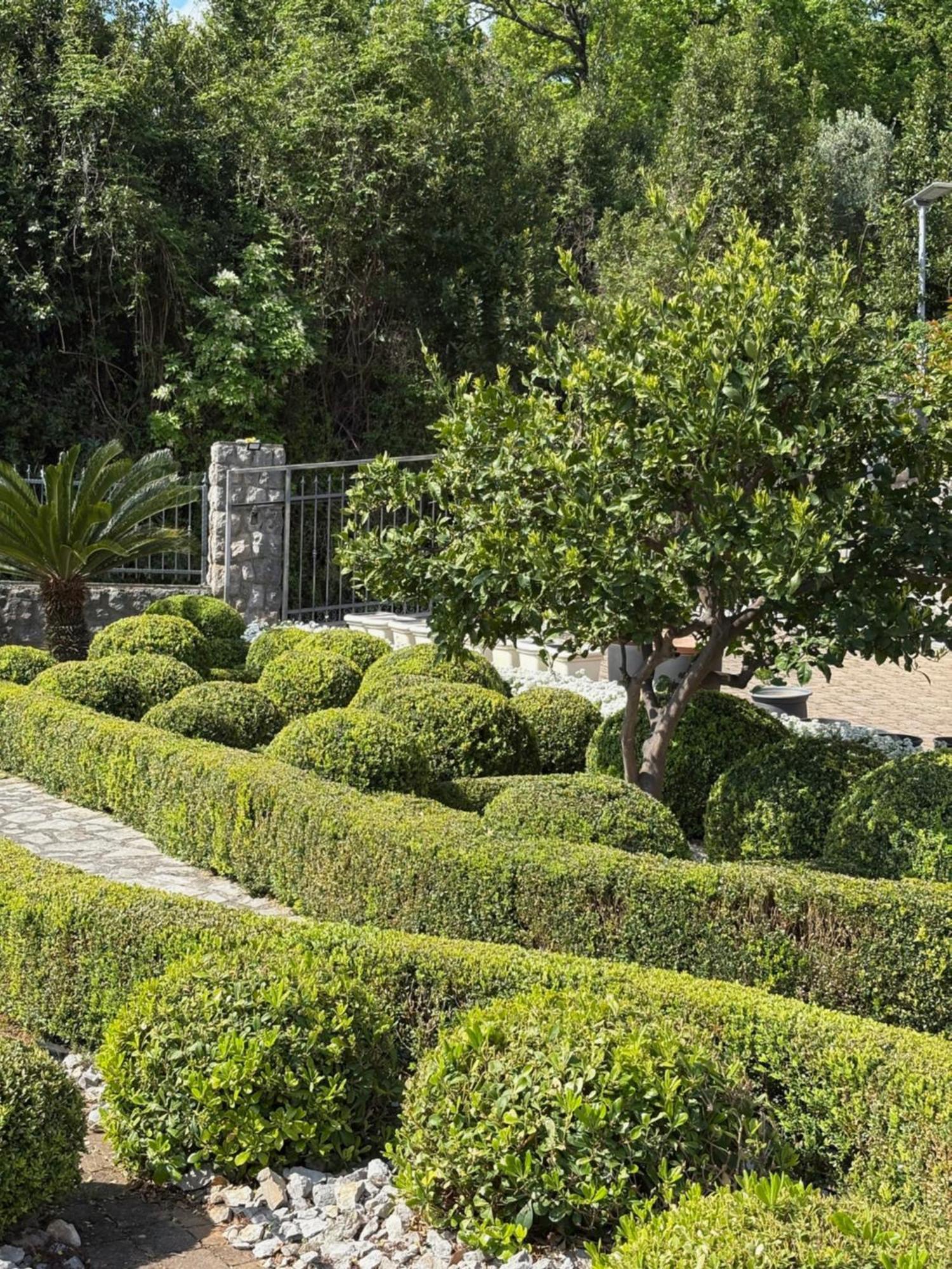 Bed And Breakfast Villa Iris Moscenicka Draga Ngoại thất bức ảnh